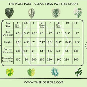 High quality TALL clear transparent plant pots with good drainage planter! Multi-size Available! Large tall clear plant pots with saucers image 2