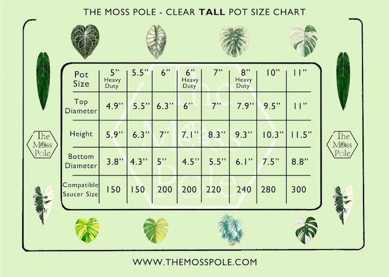 High quality TALL clear transparent plant pots with good drainage planter! Multi-size Available! Large tall clear plant pots with saucers image 2