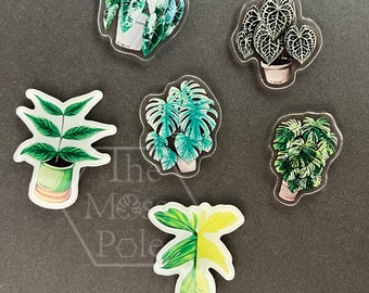 Assorted Tropical Rare Plant Magnet | Plant Lover Gift | Plant Kitchen Decor | Office Plant Decor Plants Refrigerator Magnets