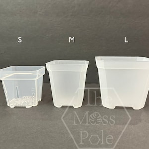 May include: Three clear plastic square pots in different sizes labeled S, M, and L. The pots are translucent and have a slightly textured surface.