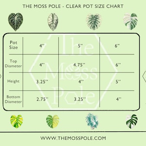 Peut inclure: Un tableau montrant les tailles de pots transparents recommand&eacute;es pour les plantes, avec des mesures en pouces. Le tableau comprend la taille du pot, le diam&egrave;tre sup&eacute;rieur, la hauteur et le diam&egrave;tre inf&eacute;rieur. Le tableau est sur un fond vert avec des illustrations de plantes.