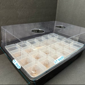 May include: A clear plastic dome sits atop a black plastic tray with 24 individual clear plastic compartments. The tray measures 17 inches long, 11 inches wide, and 3.5 inches high.