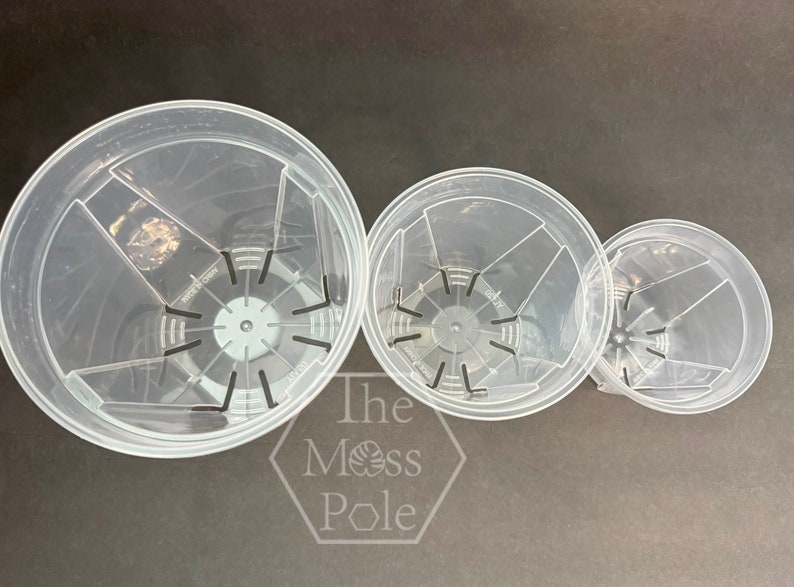 Peut inclure: Trois pots de fleurs en plastique transparent avec des trous de drainage au fond. Les pots sont de tailles diff&eacute;rentes, le plus grand pot &eacute;tant &agrave; l'avant et le plus petit pot &agrave; l'arri&egrave;re.