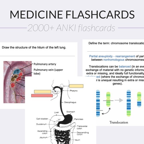 Medicine ANKI Flashcards Year 1 MBBS Study Guide Etsy