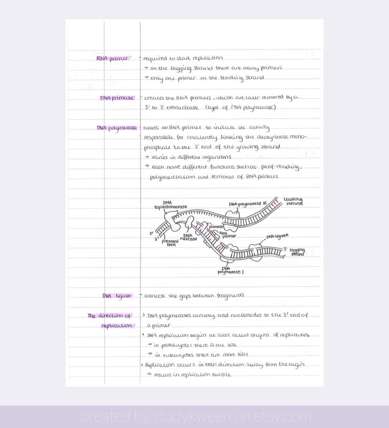 IB Biology Notes SL and HL Handwritten Revision Notes Etsy UK