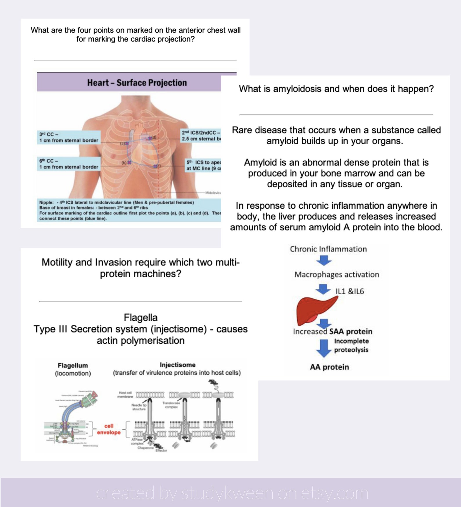 Medicina anki flashcard anno 1 mbbs guida allo studio etsy italia