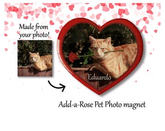 Add-a-Rose Pet Photo magnet, Valentine's Day, girlfriend boyfriend gift, red wooden heart, dog cat magnet, long stemmed rose, keepsake
