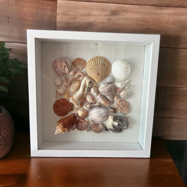 Shell Art Shadow Box - Etsy