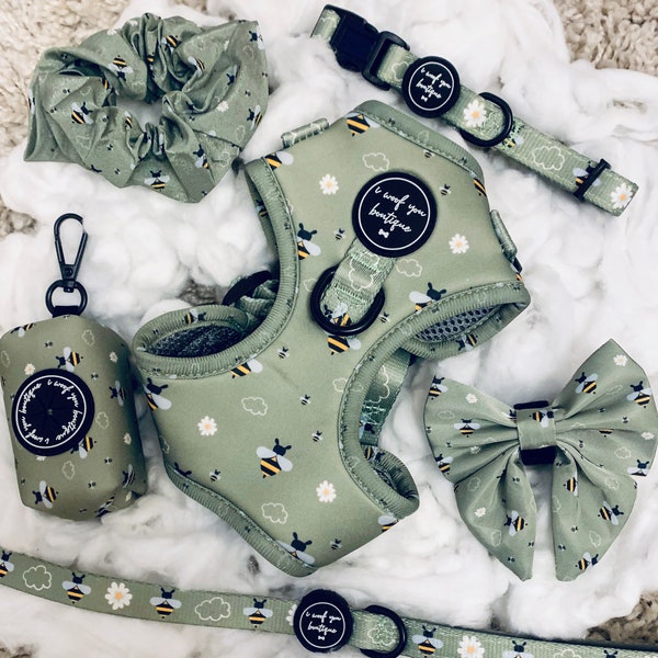 Spring Buzzy Bee Step in Dog Harness Set | 6 piece dog walking set | Sage Green | Puppy X-Small, Small, Medium