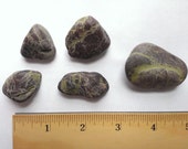 Set of Five ( 5 ) Chocolate & Green Smooth Beach Stones - Coast of Maine -  Nautical Collection Crafts Wishing Wedding Fairy Decor Healing