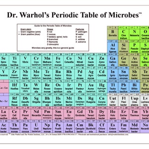 Dr. Warhol's Periodic Table of Microbes