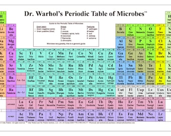 Dr. Warhol's Periodic Table of Microbes