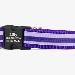 Custom Dog Collar,  Purple Collar, Personalized Collar, Engraved Dog Collar, Quick Release Collars, Webbing Dog Collars, Grape Soda