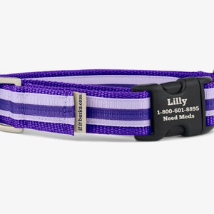 Stripe Martingale Dog Collar, Personalized, Purple Orchid Collar, No Slip Dog Collar, Quick Release Buckle, Webbing Collar, Grape Soda