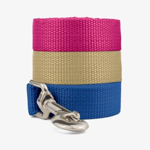 Hundeleine, Hundeleine, Leine für Welpen, Robuste Leine, Robuste Hundeleine, 4ft, 5ft, 6ft, Basic Dog Leine, Dog Walker
