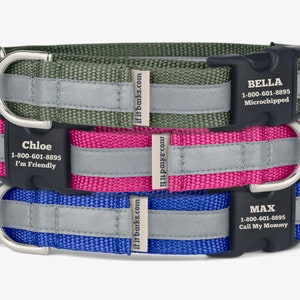 Custom Reflective Martingale Collar, Personalized Dog Collars, No Slip, Quick Release Buckle, Webbing Collars, Dog Training, High Visibility