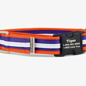 Stripe Martingale Dog Collar, Personalized, Orange Purple Collar, No Slip Dog Collar, Quick Release Buckle, Webbing Collar, Tiger