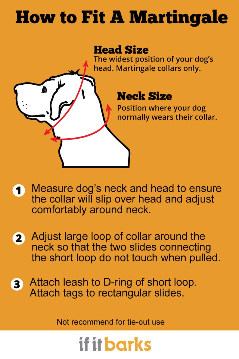 How to size a martingale collar Clearance