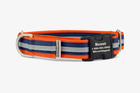 Streifen Martingale Hundehalsband, Personalisiert, Orange Navy