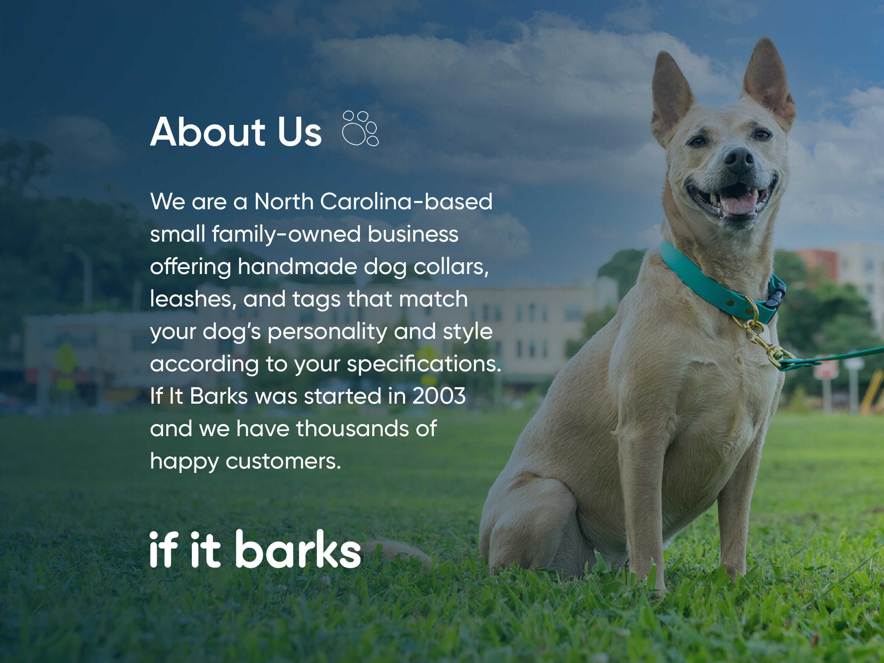 Personalized reflective martingale dog collars sales