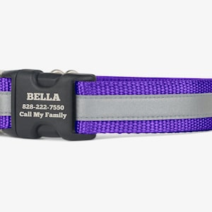 Reflective Dog Collar, Personalized Collar, Puppy Collar, Royal Purple, Quick Release, Webbing Dog Collar, High Visibility Collar, Purple