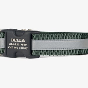 Reflective Dog Collar, Personalized Collar, Green Puppy Collar, Quick Release, Webbing Dog Collar, High Visibility Collar, Forest Green