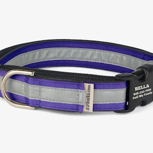 Custom Reflective Martingale Collar, Personalized Dog, No Slip, Quick Release Buckle, Comfortable Training Collars, Visibility, Regal Purple
