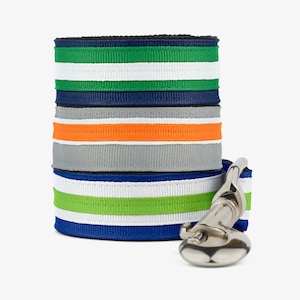 Stripe Dog Leash, Comfortable Puppy Lead, Dog Clip Leash, Unique Dog Accessories, Bright Colors, 4ft, 5ft, 6ft, Dog Walking, Durable Leash