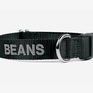 Embroidered Dog Collar , Personalized Collar, Green Puppy Collar, Quick Release, Webbing Dog Collar, Unique Custom Collar, Forest Green