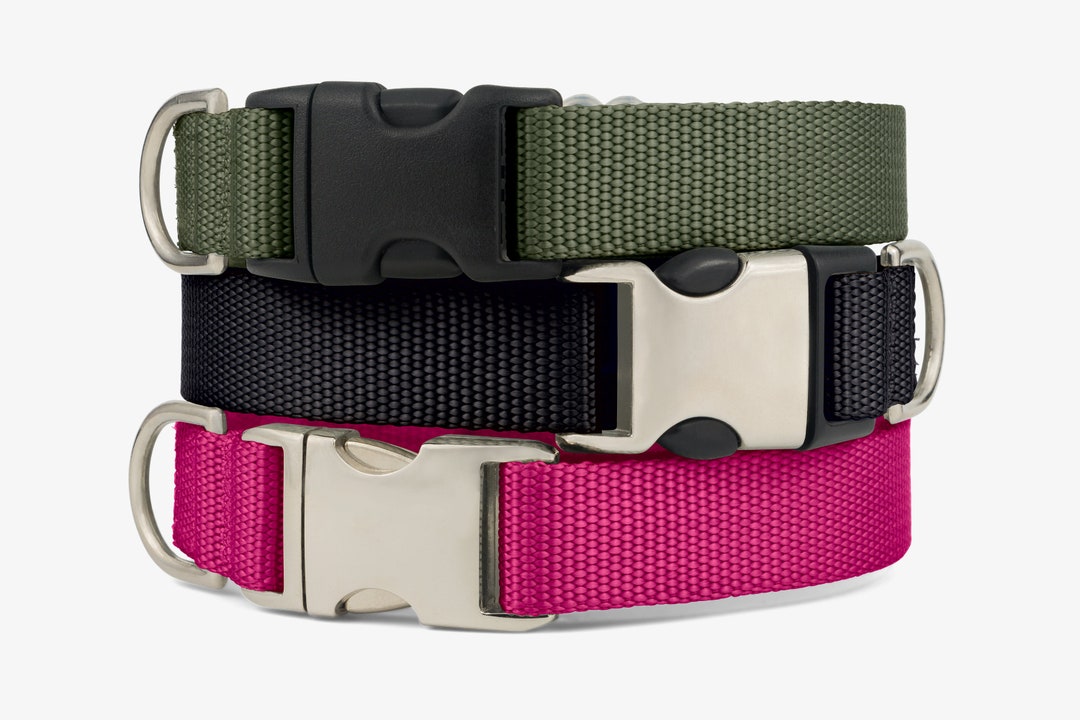 bing Dog Collar, bing Collar for Dogs, Colorful bing Collar