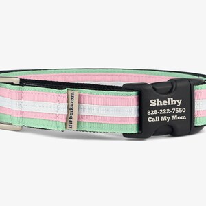 Stripe Martingale Dog Collar, Personalized, Green Pink Pretty Collar, No Slip Dog Collar, Quick Release Buckle, Comfortable Collar, Pastel