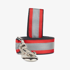 Reflective Dog Leash, Comfortable Dog Lead, Pick Your Color, Puppy Leash, 3M Reflective, High Visibility, Perfect for Evening Walks