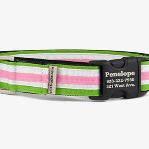 Stripe Martingale Dog Collar, Personalized, Green Pink, Girl Collar, No Slip Dog Collar, Quick Release Buckle, Comfortable Collar, Penelope
