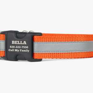 Reflective Dog Collar, Personalized, Puppy Collar, Quick Release Collars, Orange Webbing Collar, Hunting, High Visibility Collars, Pumpkin