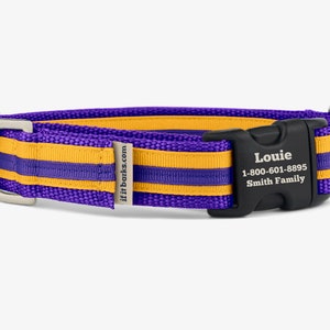 Stripe Martingale Dog Collar, Personalized, Purple Gold Yellow Collar, Martingale Quick Release Buckle, Webbing Collar, Geaux