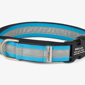 Custom Reflective Martingale Collar, Personalized Dog, NoSlip, Quick Release Buckle, Comfortable Training Collar, High Visibility, Turquoise