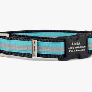 Stripe Martingale Dog Collar, Personalized, Black Teal Collar, No Slip Dog Collar, Quick Release Buckle, Webbing Collar, Panther