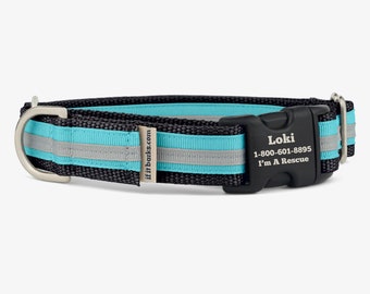 Stripe Martingale Dog Collar, Personalized, Black Teal Collar, No Slip Dog Collar, Quick Release Buckle, Webbing Collar, Panther