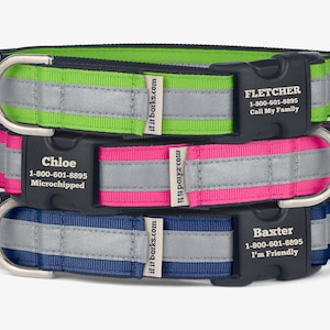 Custom Reflective Martingale Collar, Personalized Dog Collars, No Slip, Quick Release Buckle, Comfortable Training Collars, High Visibility