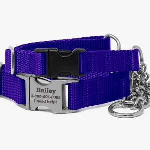 Chain Webbing Martingale Dog Collar, Personalized, Royal Purple Collar, No Slip Dog Collar, Quick Release Buckle, Regal Collar, Purple