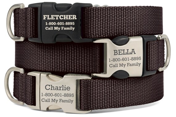 indoor plants safe dogs