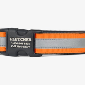 Reflective Dog Collar, Personalized, Puppy Collar, Quick Release Collars, Comfortable Collar, Hunting, High Visibility Collar, Torrid Orange