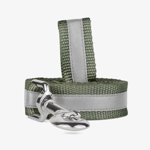 Reflective Dog Leash, Webbing Dog Lead, Pick Your Color, Puppy Leash, 3M Reflective, High Visibility, Perfect for Evening Walks, Durable
