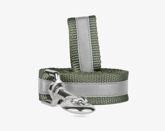 Reflective Dog Leash, Webbing Dog Lead, Pick Your Color, Puppy Leash, 3M Reflective, High Visibility, Perfect for Evening Walks, Durable