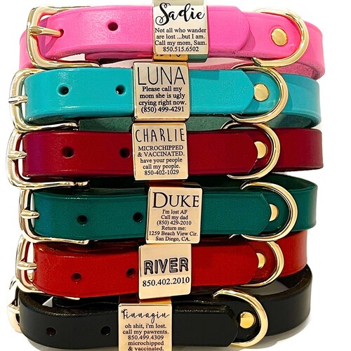 Custom Engraved Dog Tag for Dogs Personalized Dog Name Tag Etsy