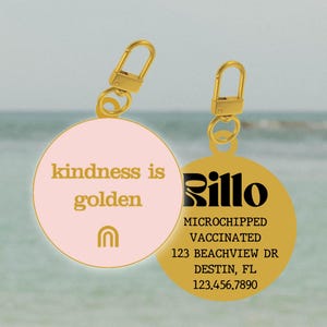Personalized Baby Pink Dog Tag, Kindness is Golden Pet Tag, Pink Pet ...