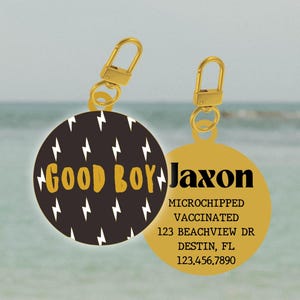 Dog Tag, Pet ID Tag, Personalized Dog Tag, Dog ID Tag, Custom Dog Tag, Custom Pet Tag, Dog Name Tag, Personalized Pet Tag, Engraved Dog Tag