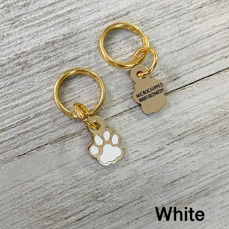 Microchip Number Dog Tag Microchipped Add On Dog Collar Pet Etsy Norway