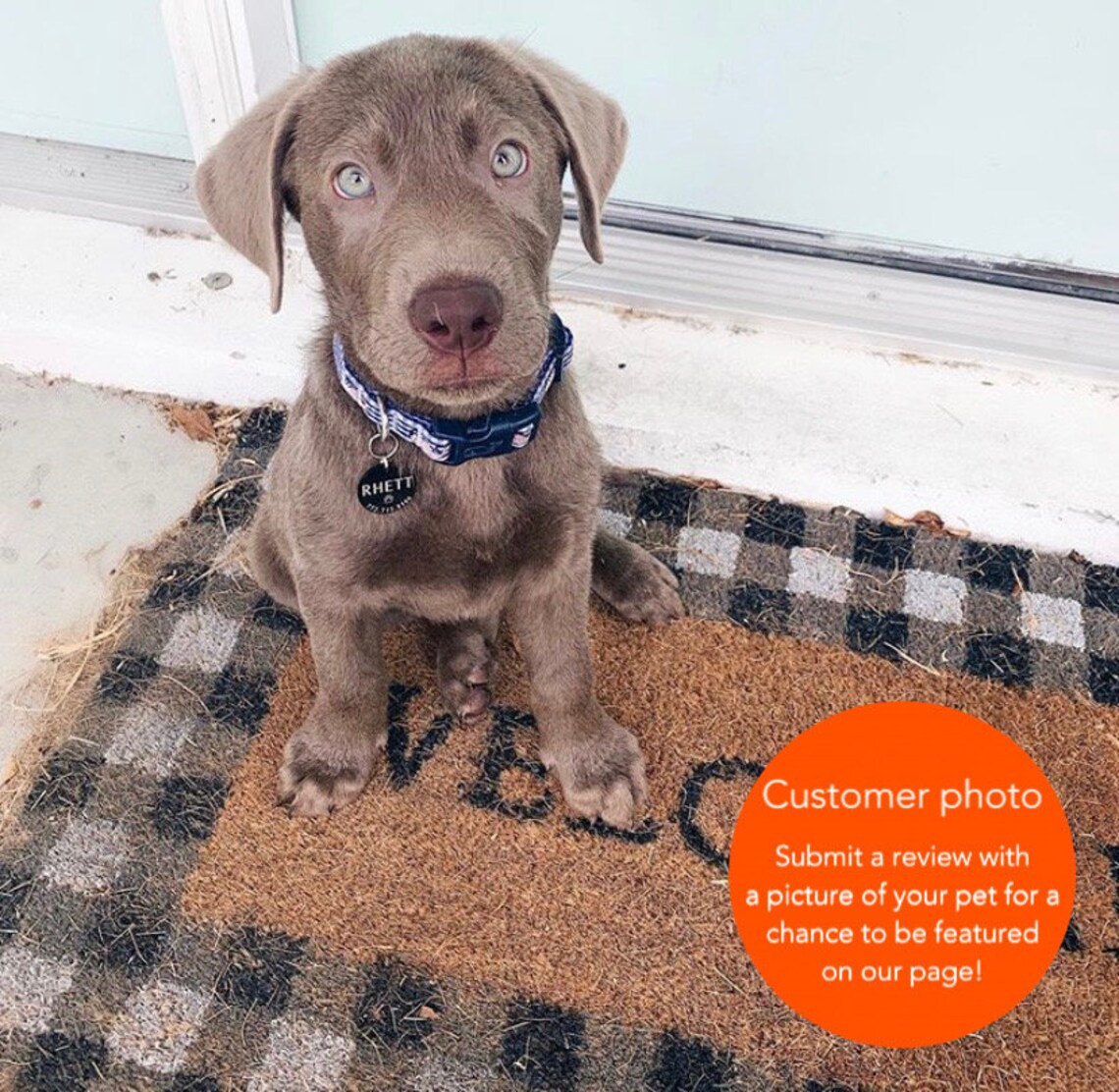 Microchip Dog Tag Custom Dog Tag Microchipped Pet Tag Dog Etsy Canada