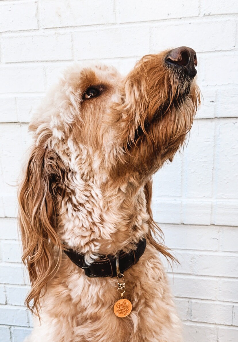 Personalized Dog Tag Girls Are Made of Magic Orange Dog Tag Etsy